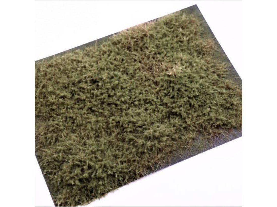 Shrubs juniper olive 148x210mm RTS-95520