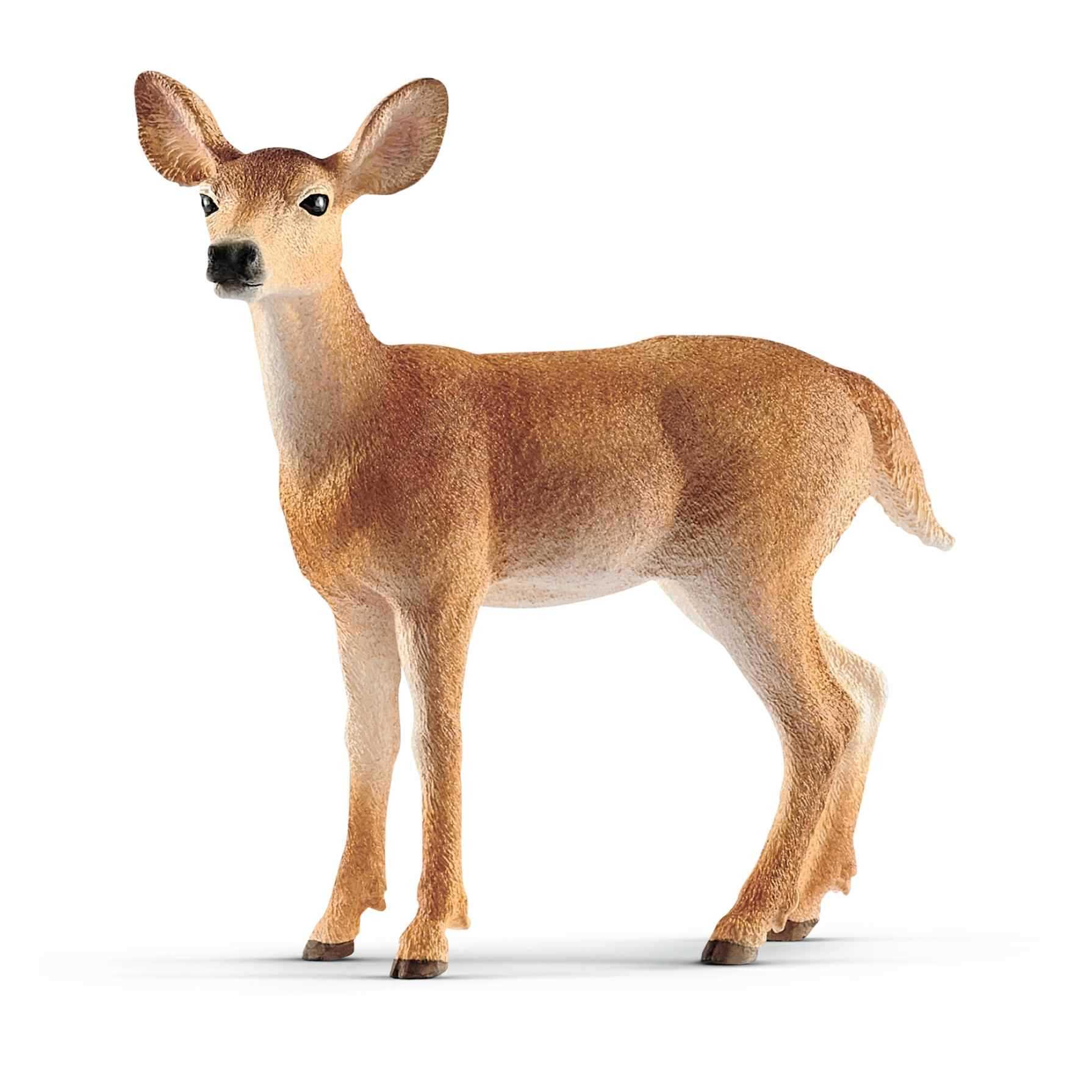 Schleich Figura Ciervo De Cola Blanca Hembra
