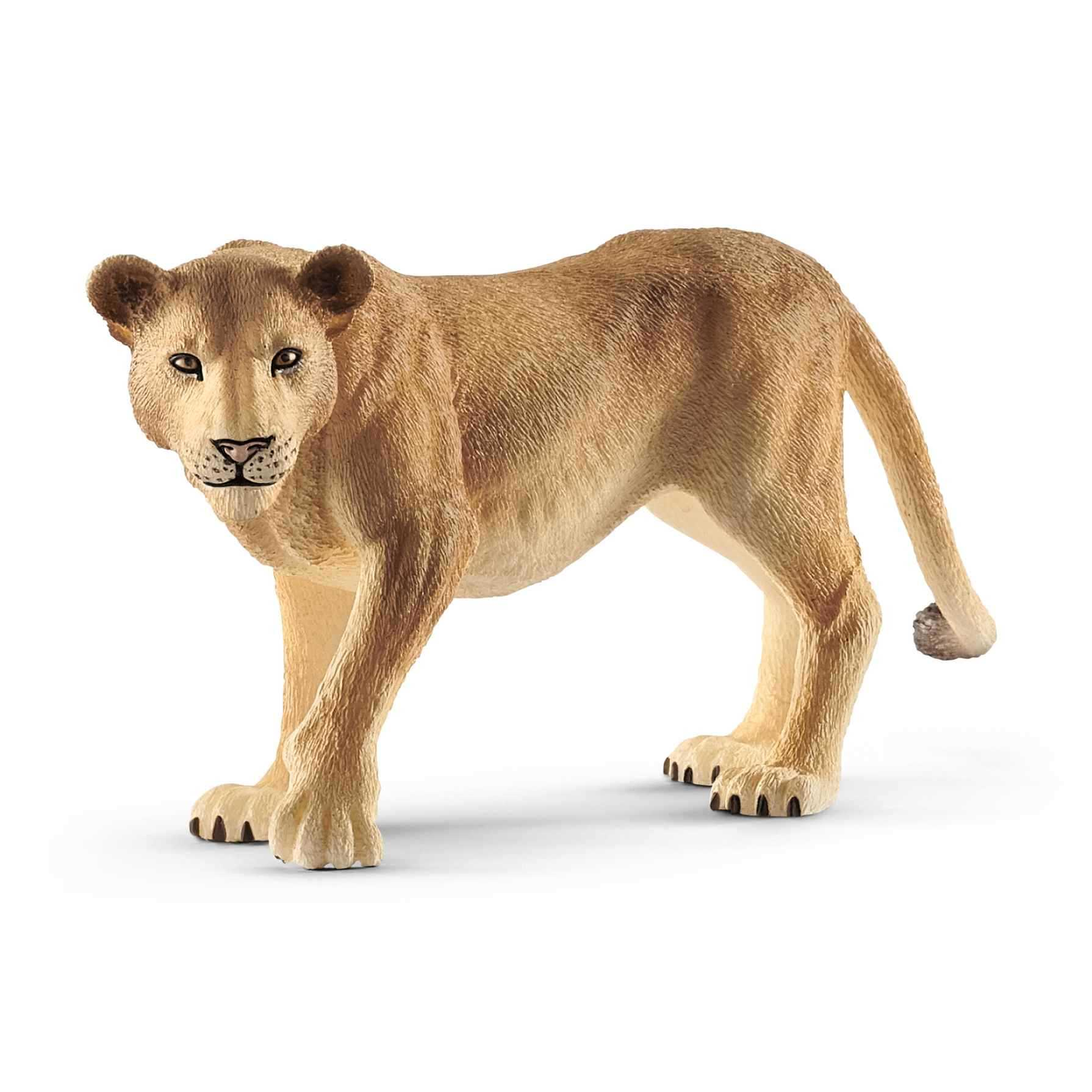 TPSLH014825_1.png