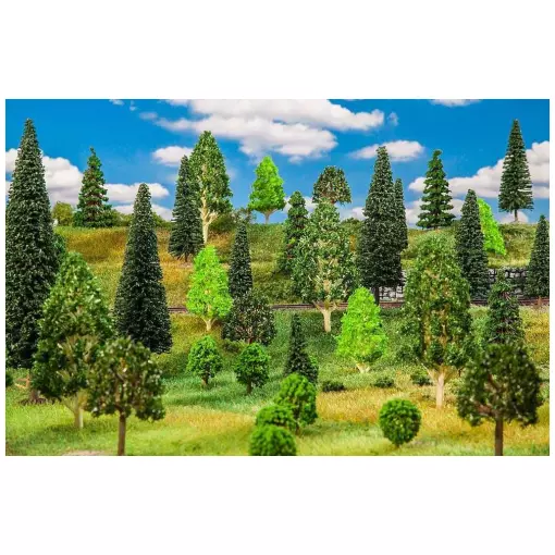 Lote de 50 árboles