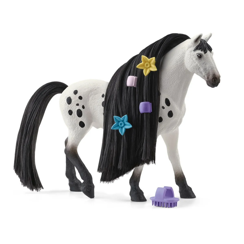 Belleza Caballo Knabstrupper Semental