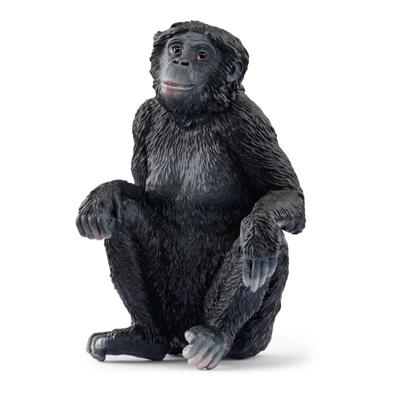 Bonobo hembra