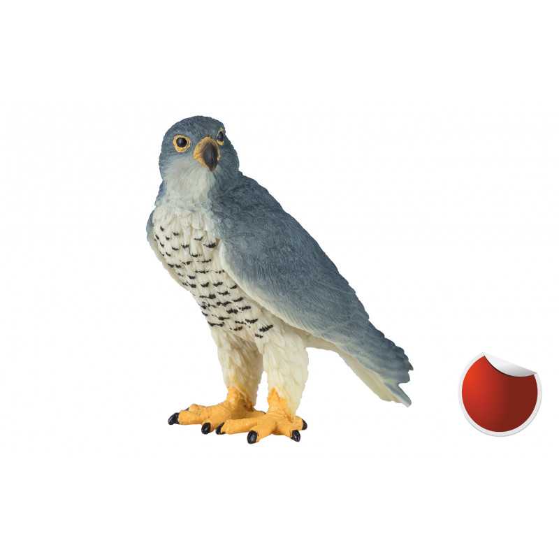 Halcón peregrino