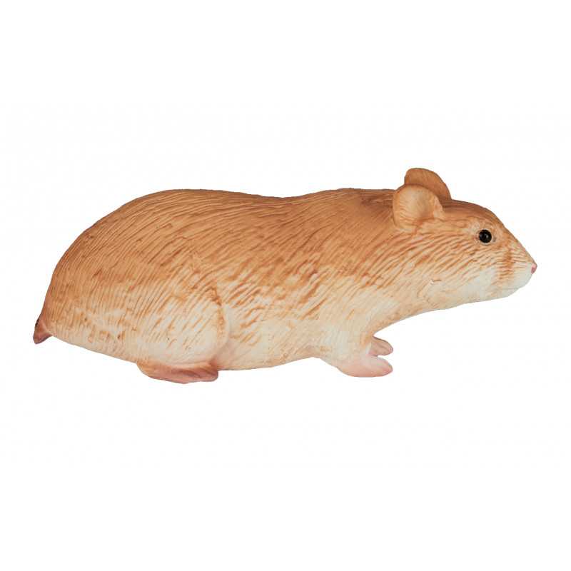 Hámster