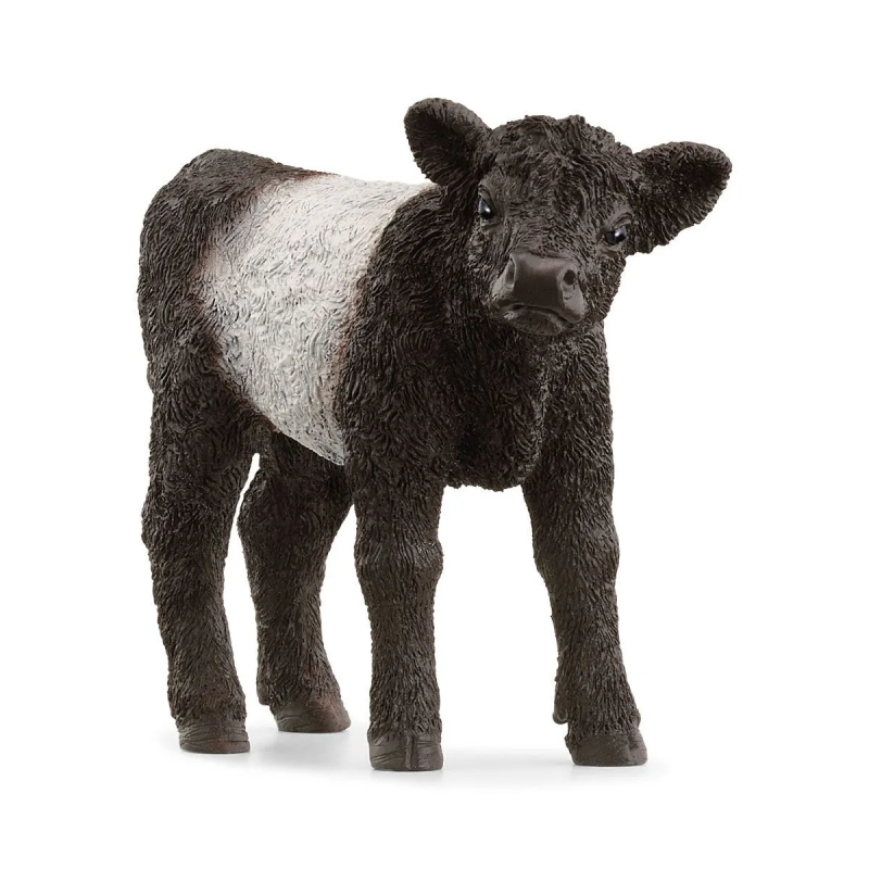 ternero-galloway.png