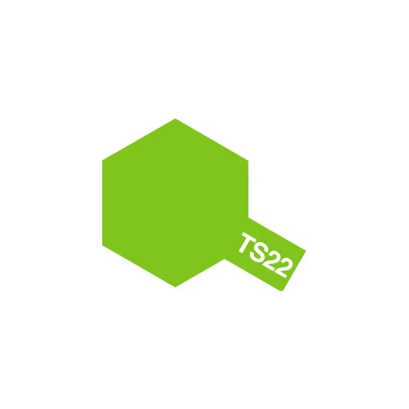 TS-22 SPRAY VERDE CLARO 100ML