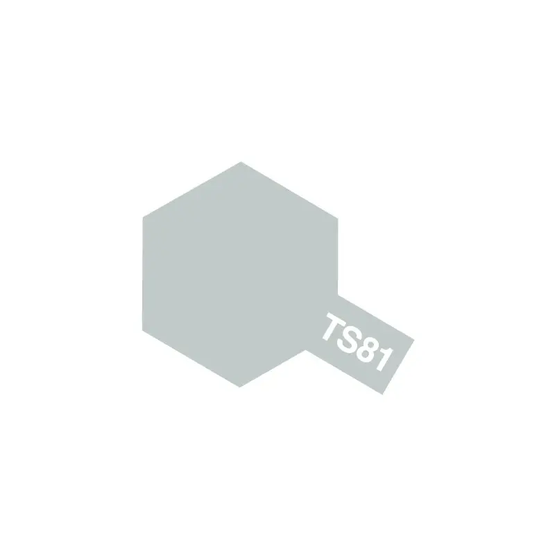 ts-81-british-navy-gray-spray-matt.webp