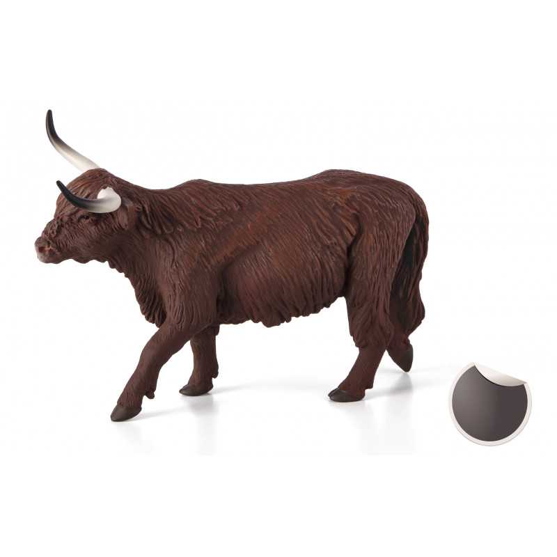 vaca-highland.jpg